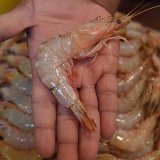 Du césium 137 a été détecté par les autorités douanières américaines dans une cargaison de crevettes congelées en provenance d'Indonésie (cliché symbolique/Keystone archives). KEYSTONE/EPA/SHAHZAIB AKBER